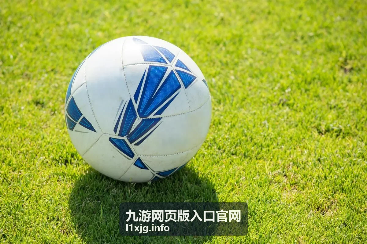 九游网页版入口官网公共设备临时登录场景