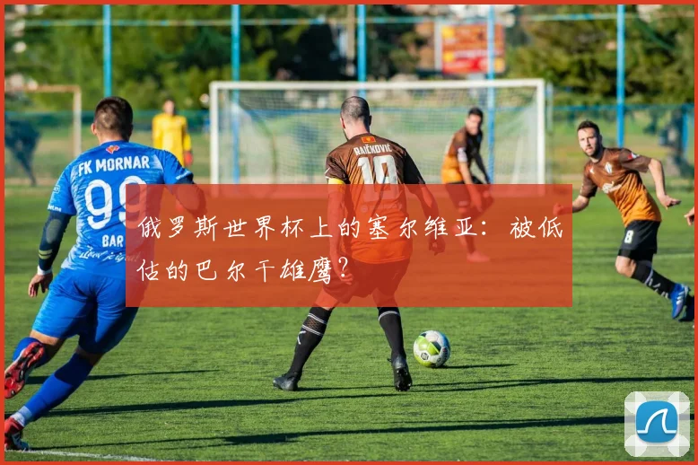 俄罗斯世界杯上的塞尔维亚：被低估的巴尔干雄鹰？