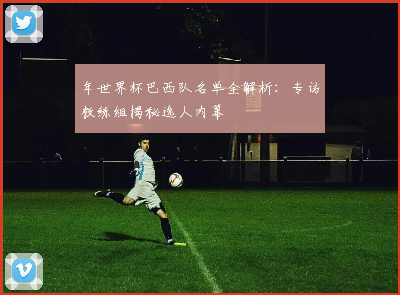 年世界杯巴西队名单全解析:专访教练组揭秘选人内幕
