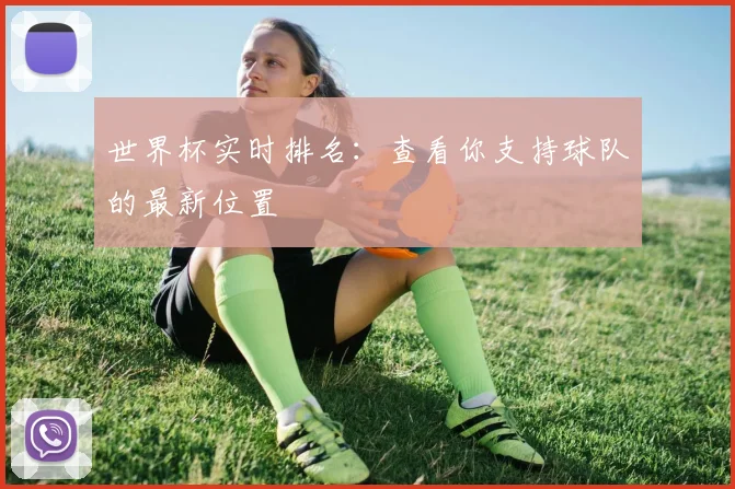 世界杯实时排名:查看你支持球队的最新位置
