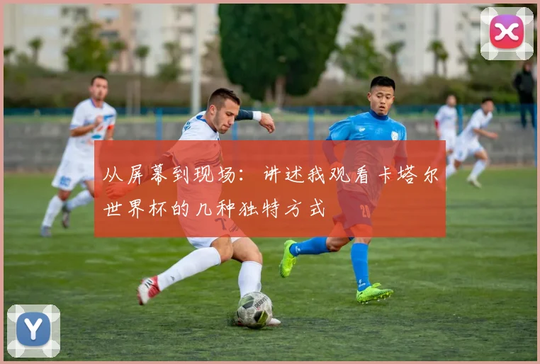 从屏幕到现场:讲述我观看卡塔尔世界杯的几种独特方式