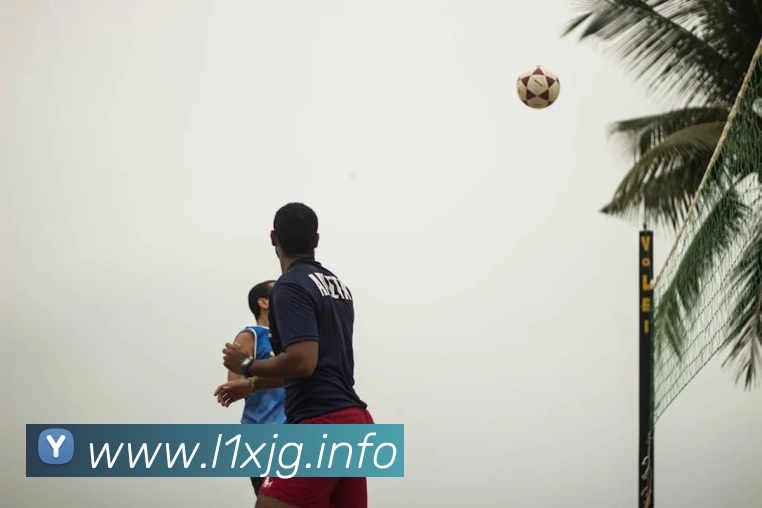 九游官网平台生态图